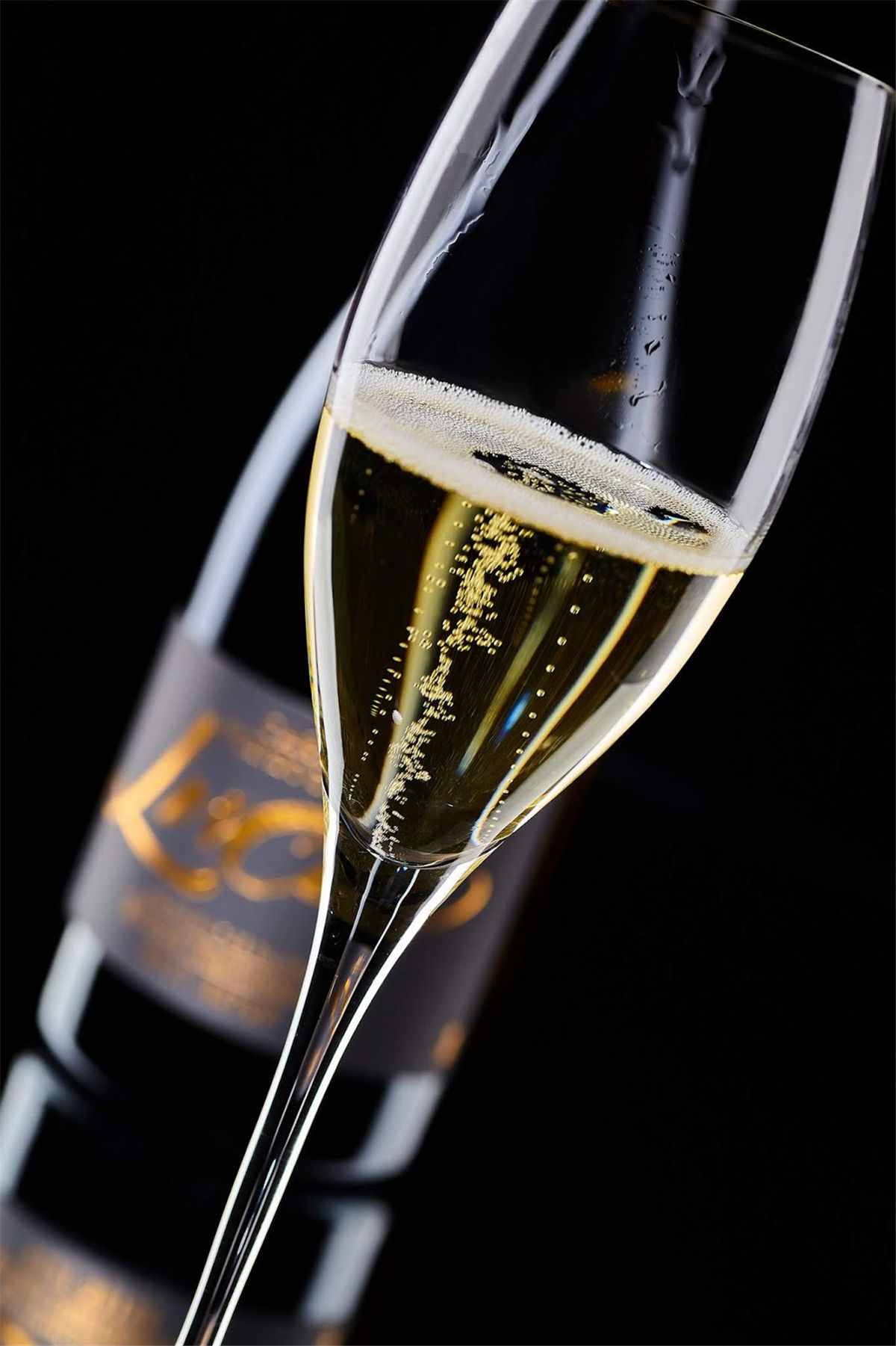 红酒包装设计参考(图3) 红酒包装设计参考(图3)