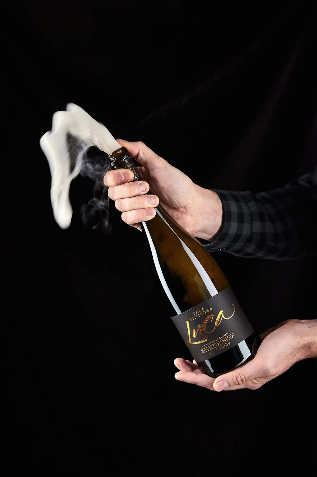 红酒包装设计参考(图11) 红酒包装设计参考(图11)