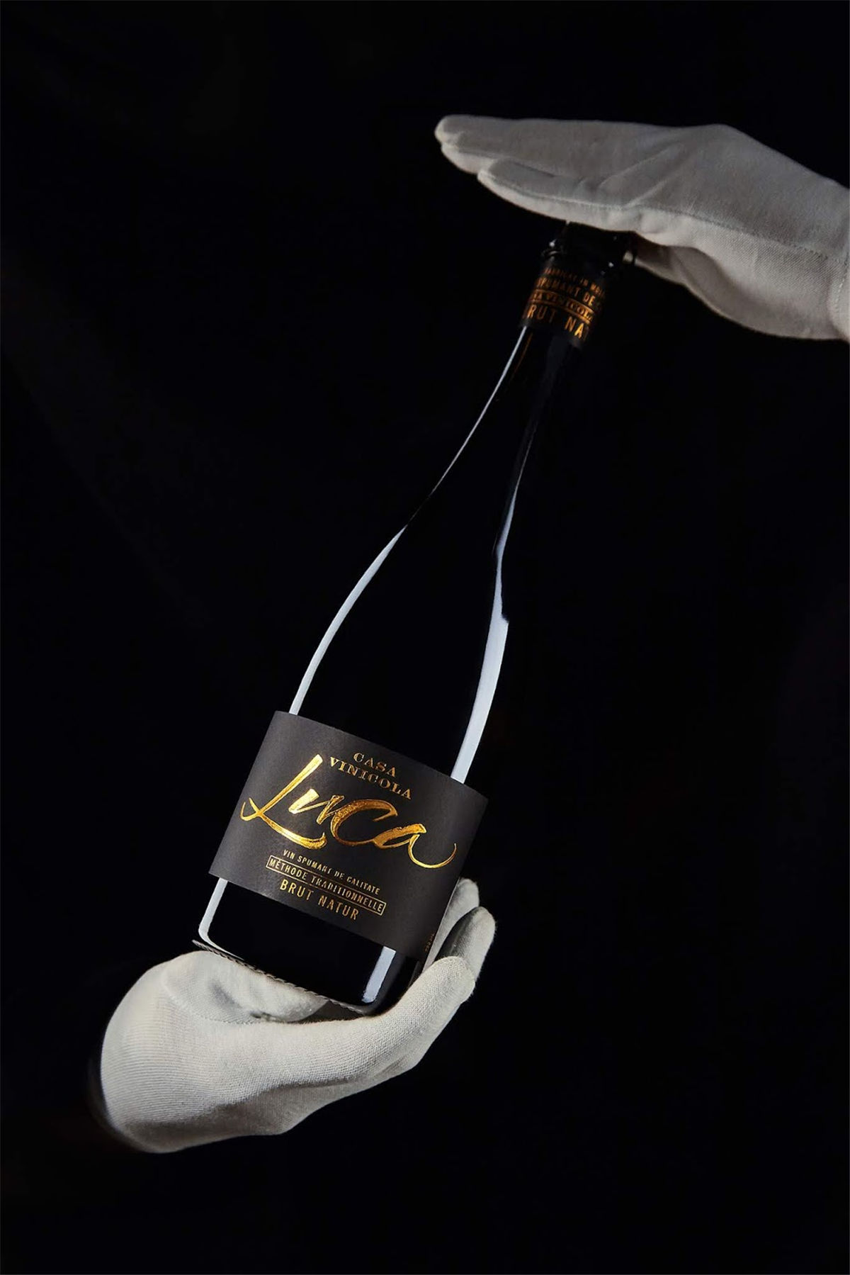 红酒包装设计参考(图12) 红酒包装设计参考(图12)