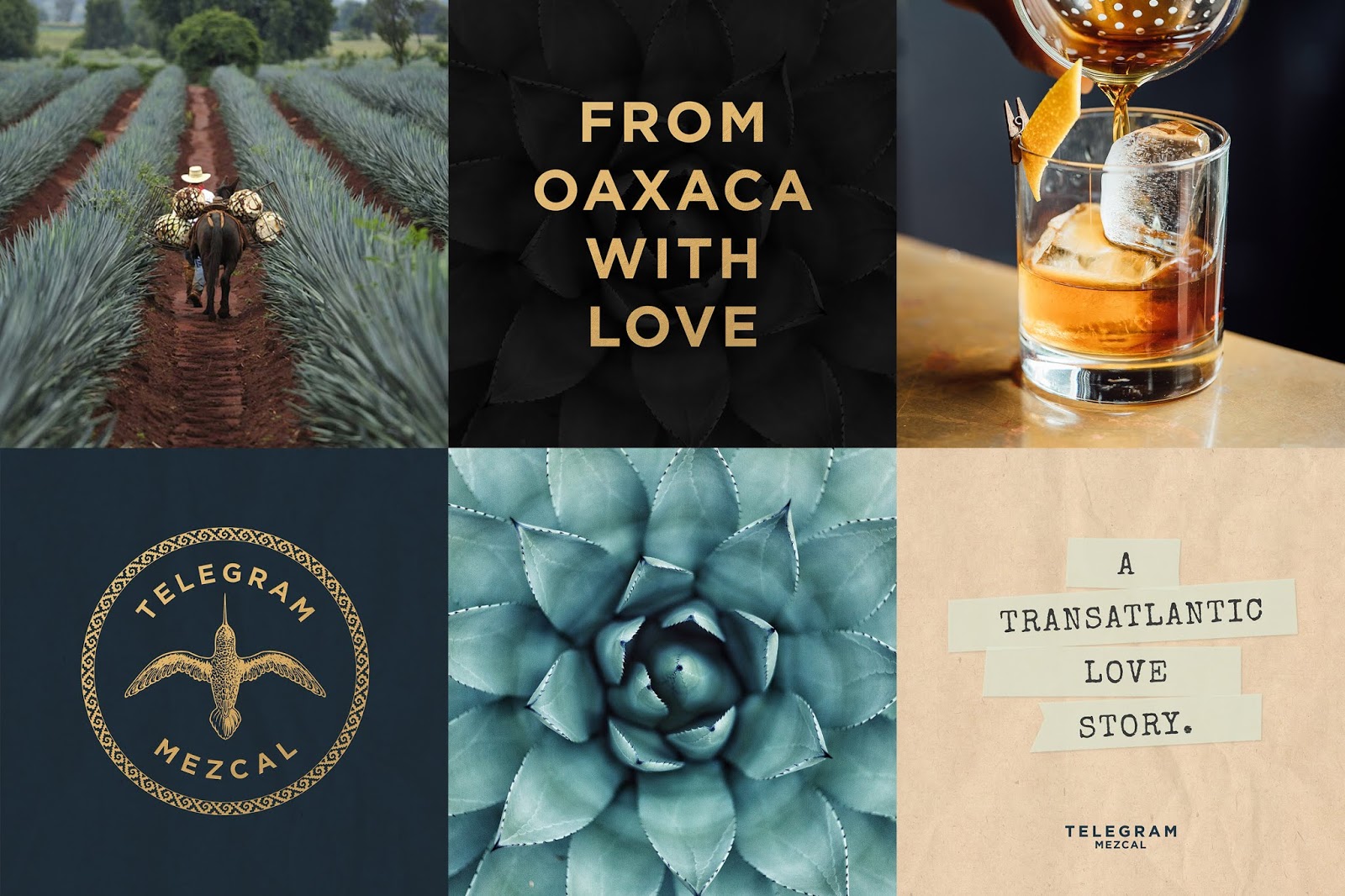 西安酒包装设计参考(图4) 西安酒包装设计参考(图4)