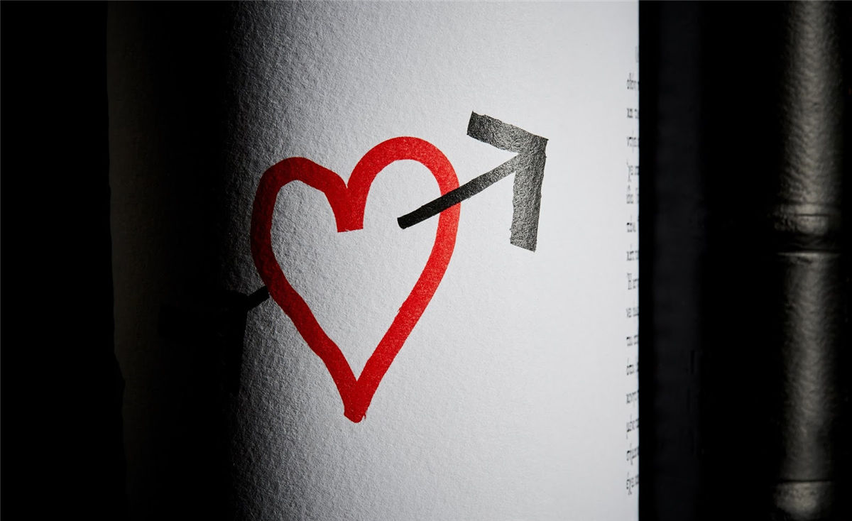 宁夏红酒包装设计公司推荐参考案例(图14) 宁夏红酒包装设计公司推荐参考案例(图14)