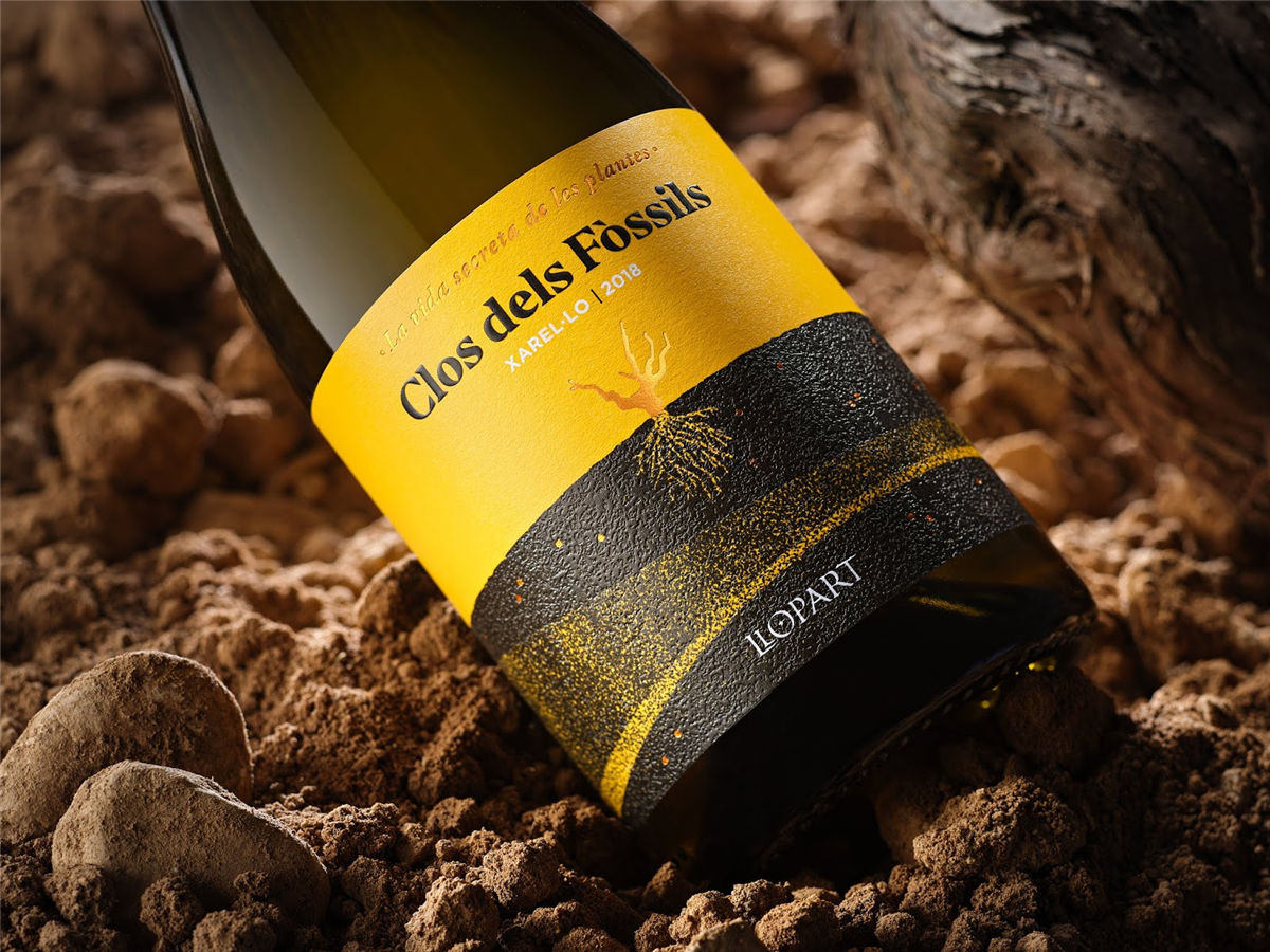 宁夏红酒包装设计公司推荐参考案例(图25) 宁夏红酒包装设计公司推荐参考案例(图25)