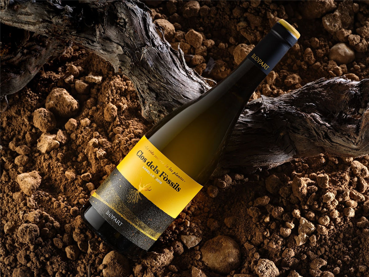 宁夏红酒包装设计公司推荐参考案例(图26) 宁夏红酒包装设计公司推荐参考案例(图26)