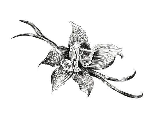 高端酱料包装设计参考(图3)