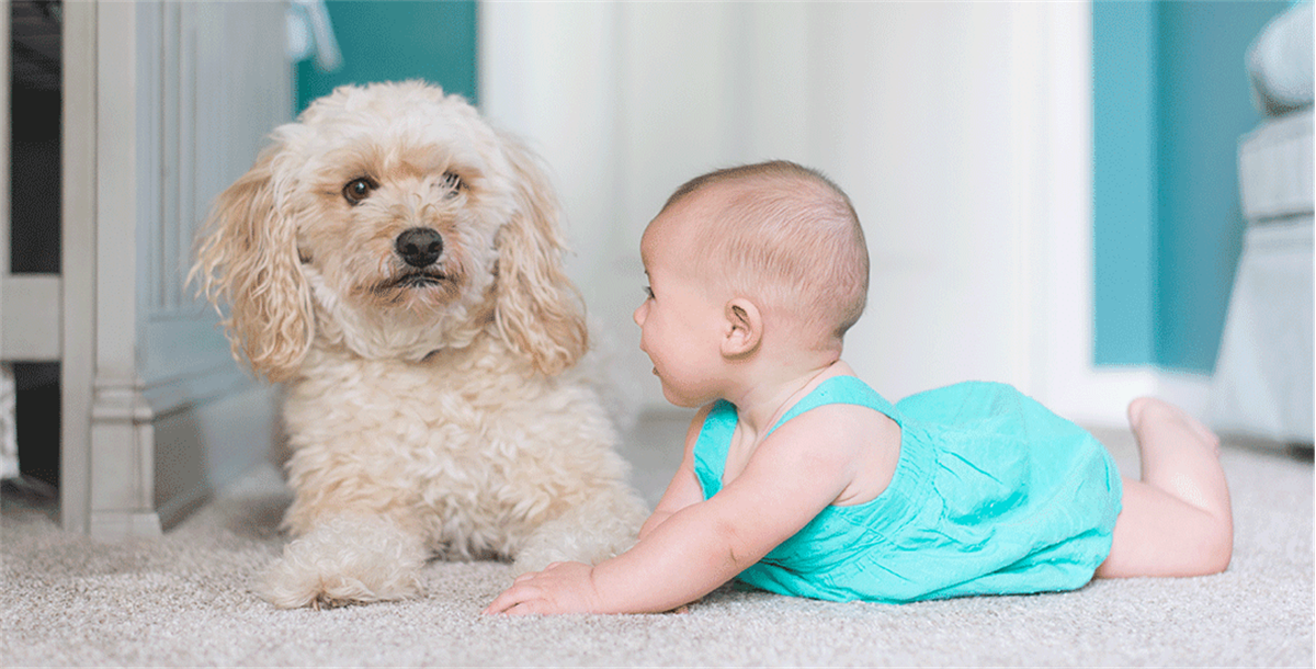 婴儿产品包装设计参考(图2) 婴儿产品包装设计参考(图2)