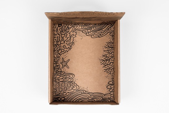 鱼子酱包装设计参考(图5)