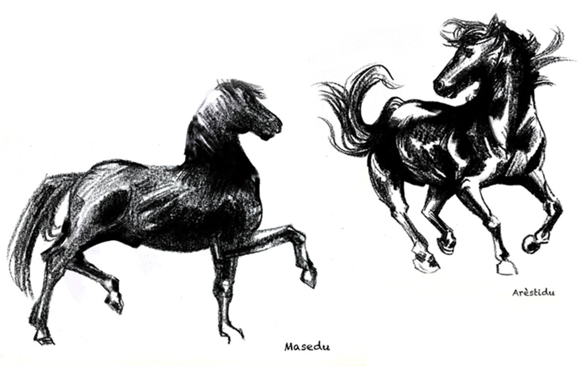 葡萄酒包装设计(图5)