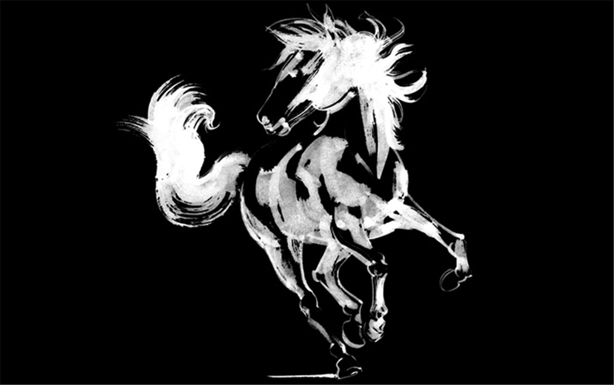 葡萄酒包装设计(图4)