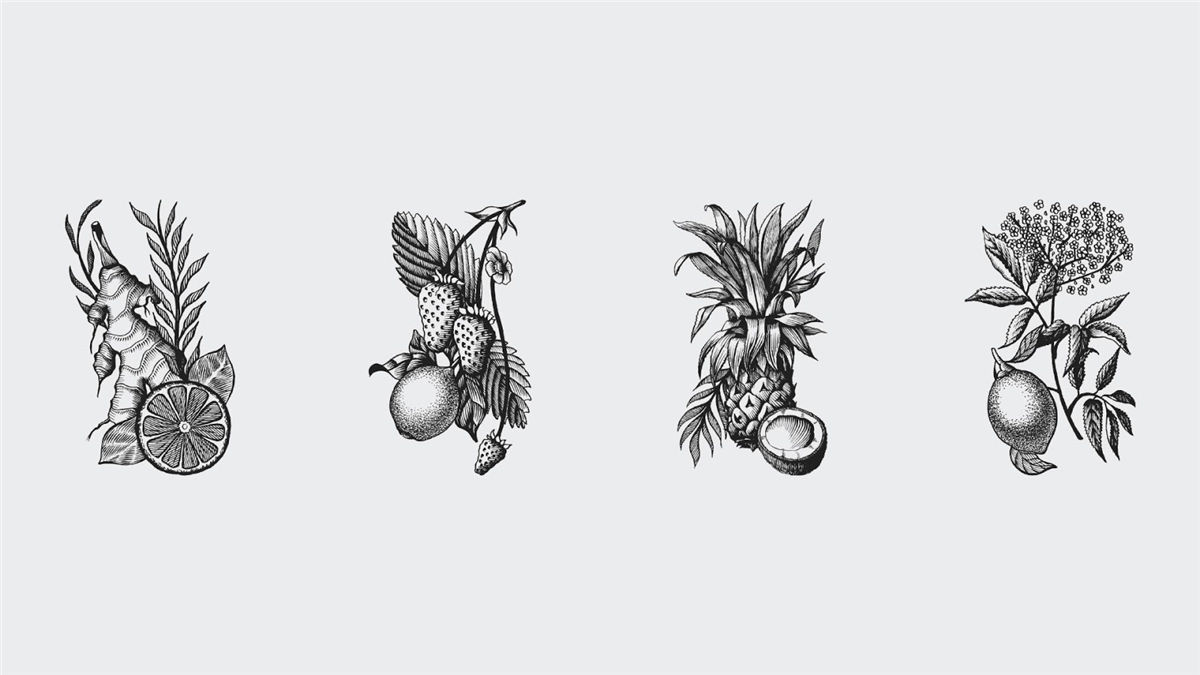 冷煮咖啡饮料包装设计(图1)