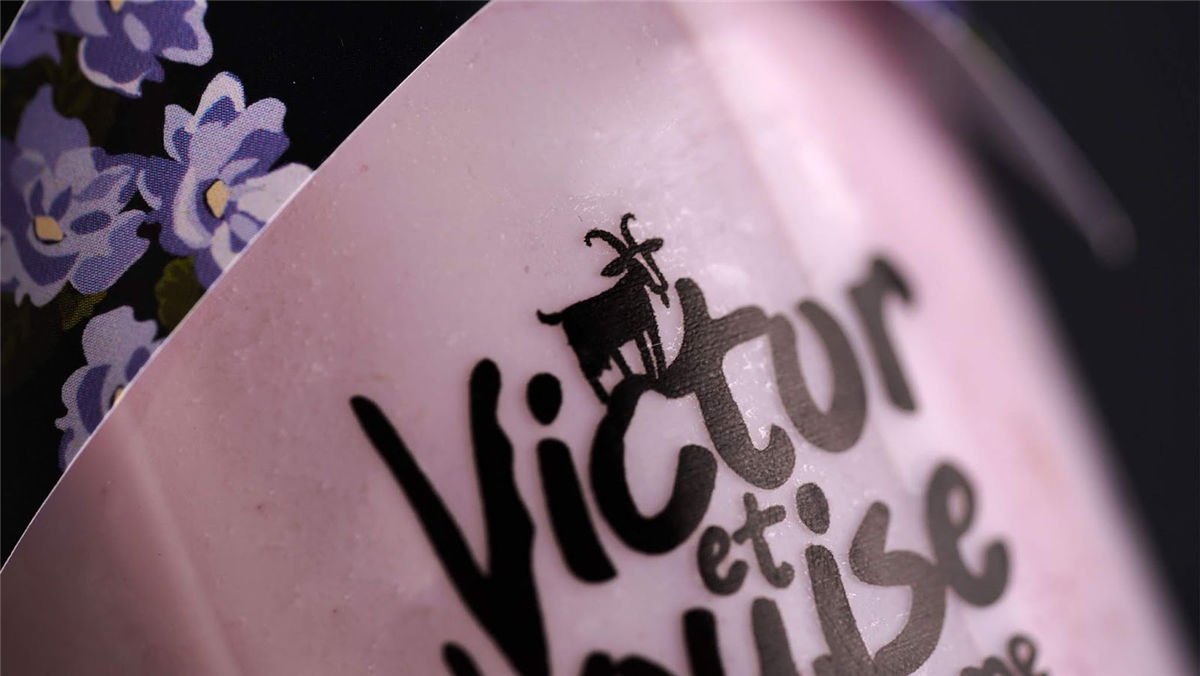 奶酪包装设计(图1) 奶酪包装设计(图1)