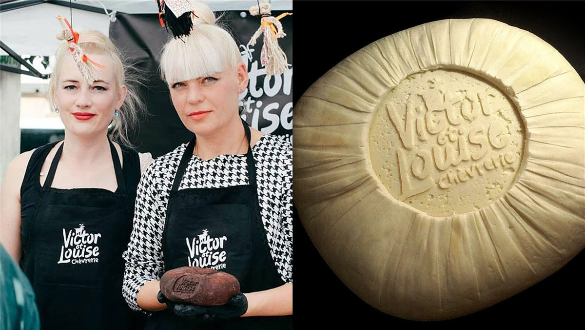 奶酪包装设计(图5) 奶酪包装设计(图5)