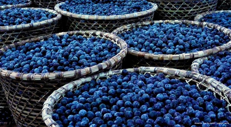 智能水与超级食品包装设计(图6)