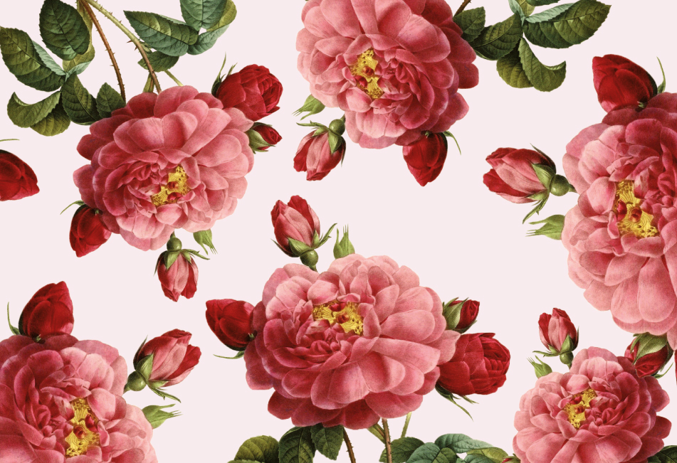 玫瑰精油品牌产品包装设计(图1) 玫瑰精油品牌产品包装设计(图1)