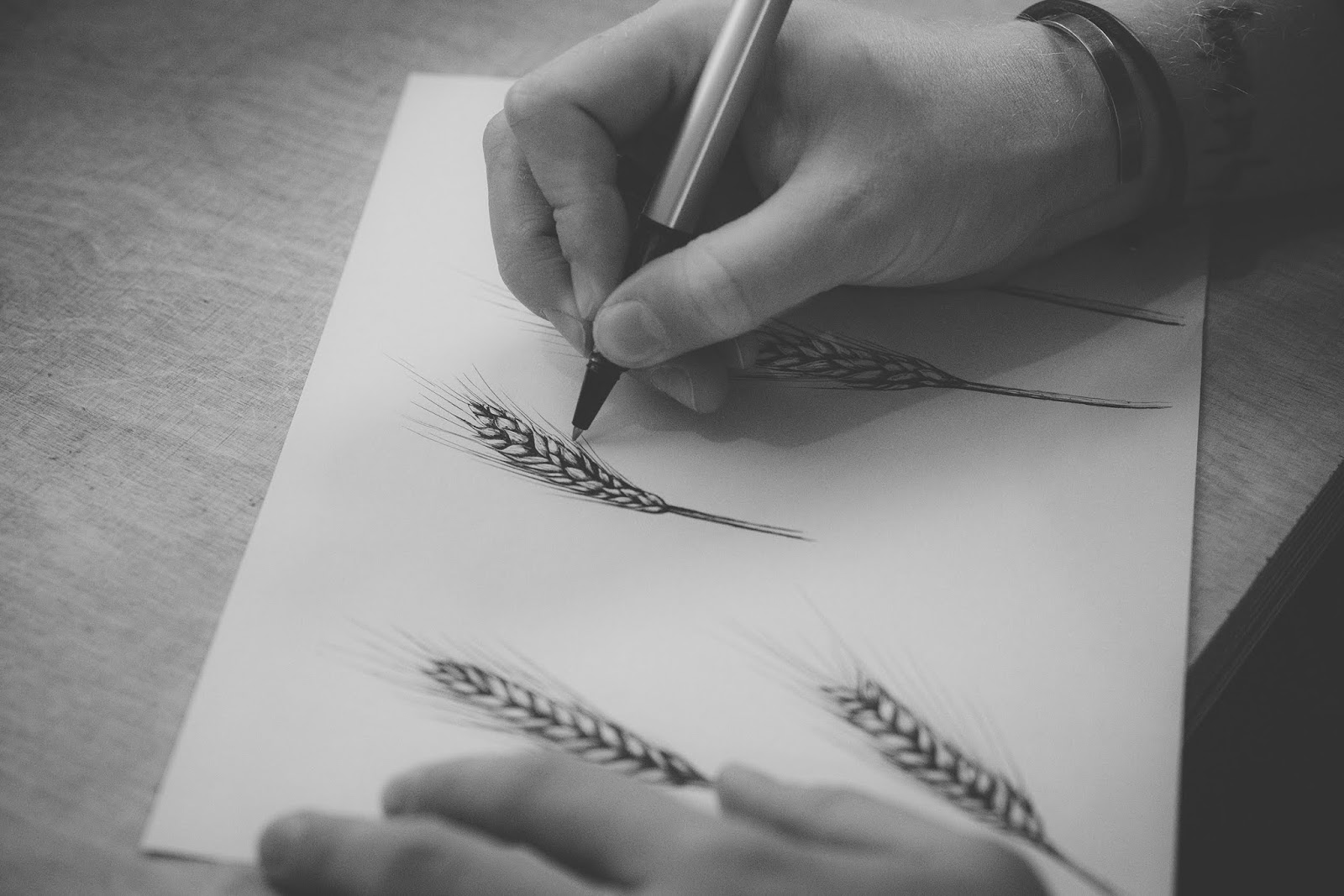 年轻化白酒包装设计(图6) 年轻化白酒包装设计(图6)