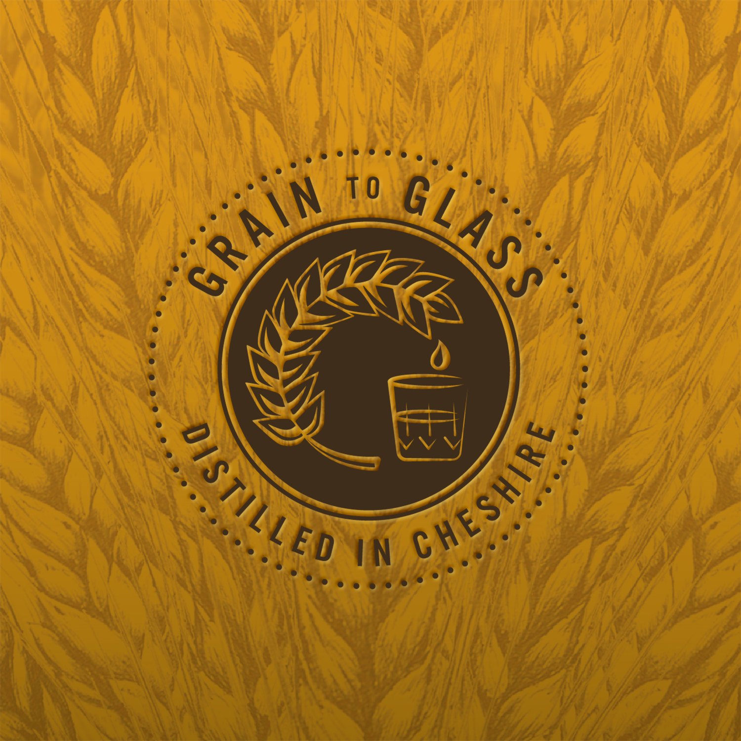 年轻化白酒包装设计(图9) 年轻化白酒包装设计(图9)