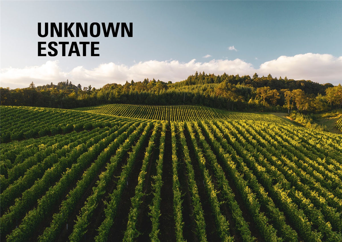 红酒包装设计(图2) 红酒包装设计(图2)