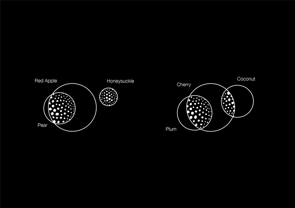 红酒包装设计(图5) 红酒包装设计(图5)