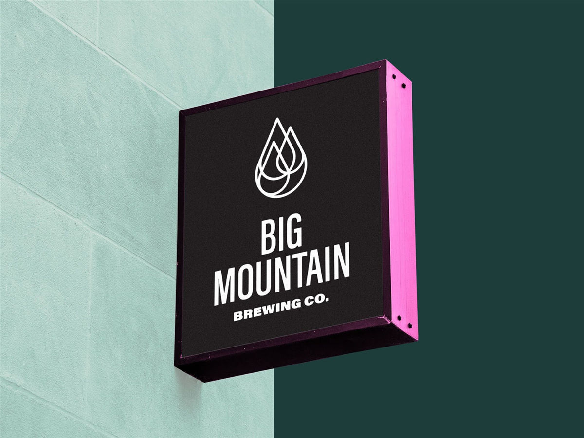 精酿啤酒包装设计(图4) 精酿啤酒包装设计(图4)