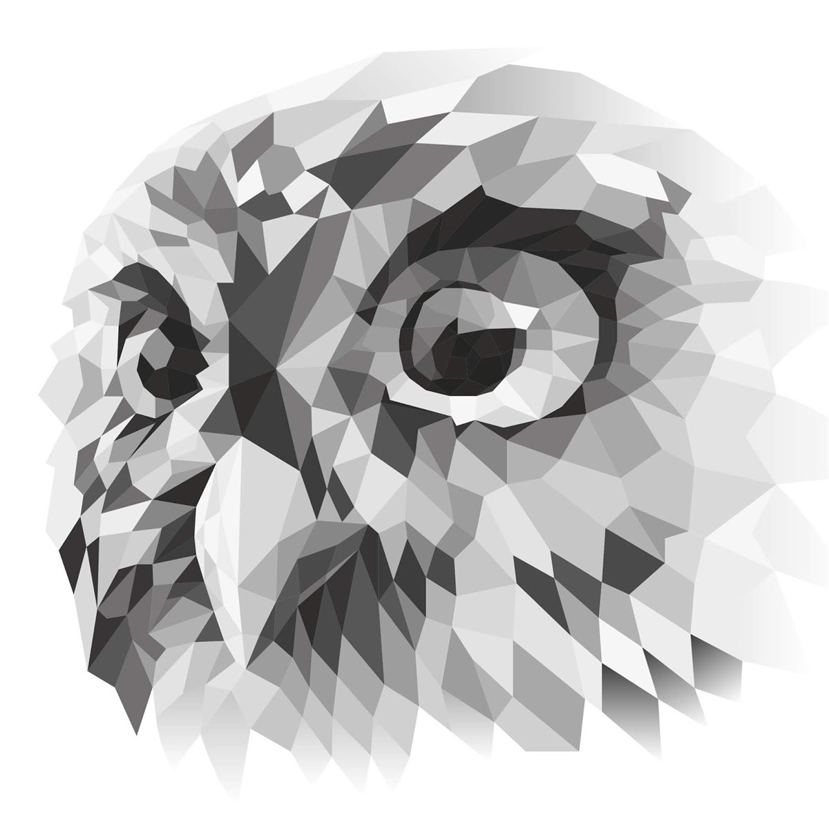 法国葡萄酒标签设计(图4)