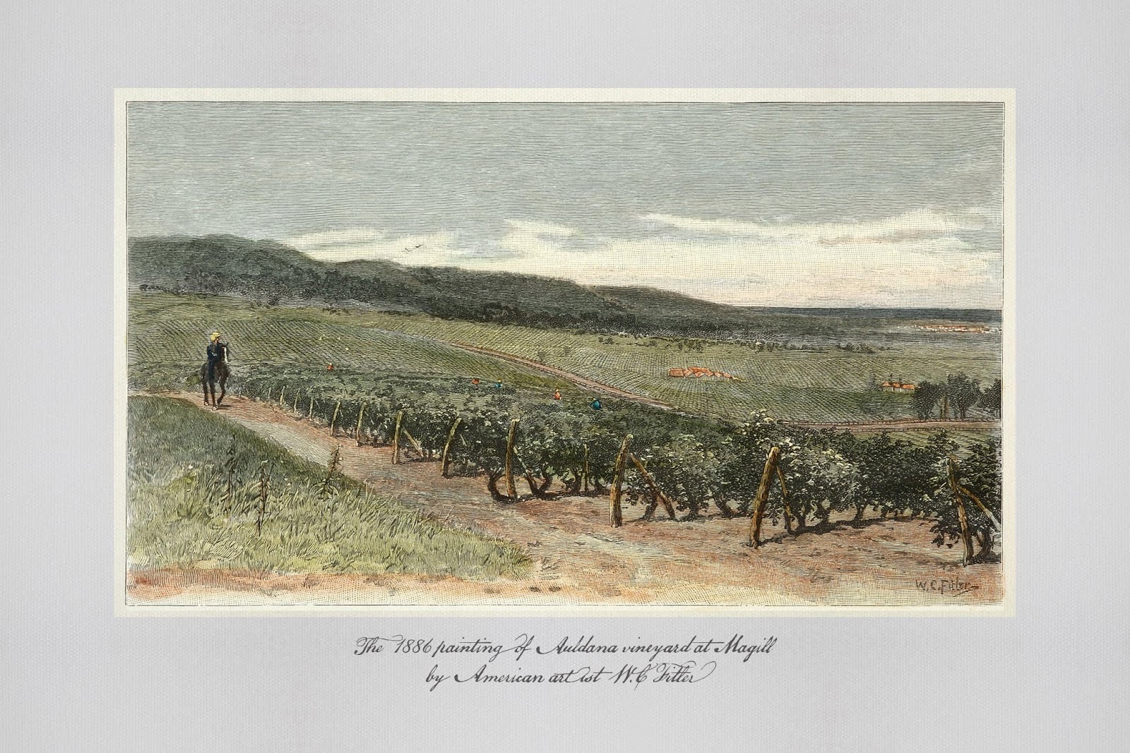 高端的葡萄酒包装设计图片欣赏(图3)