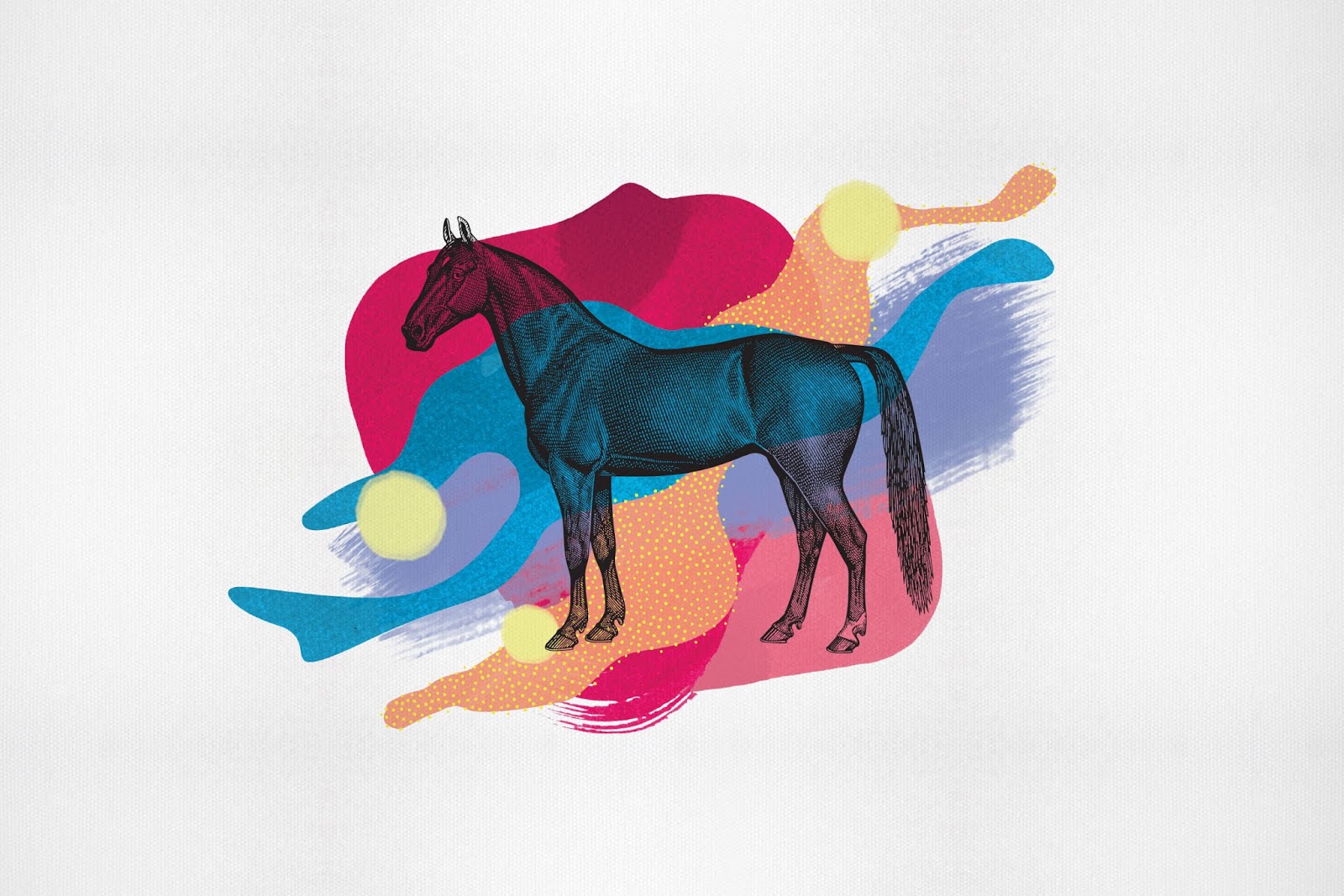 高端的葡萄酒包装设计图片欣赏(图7)