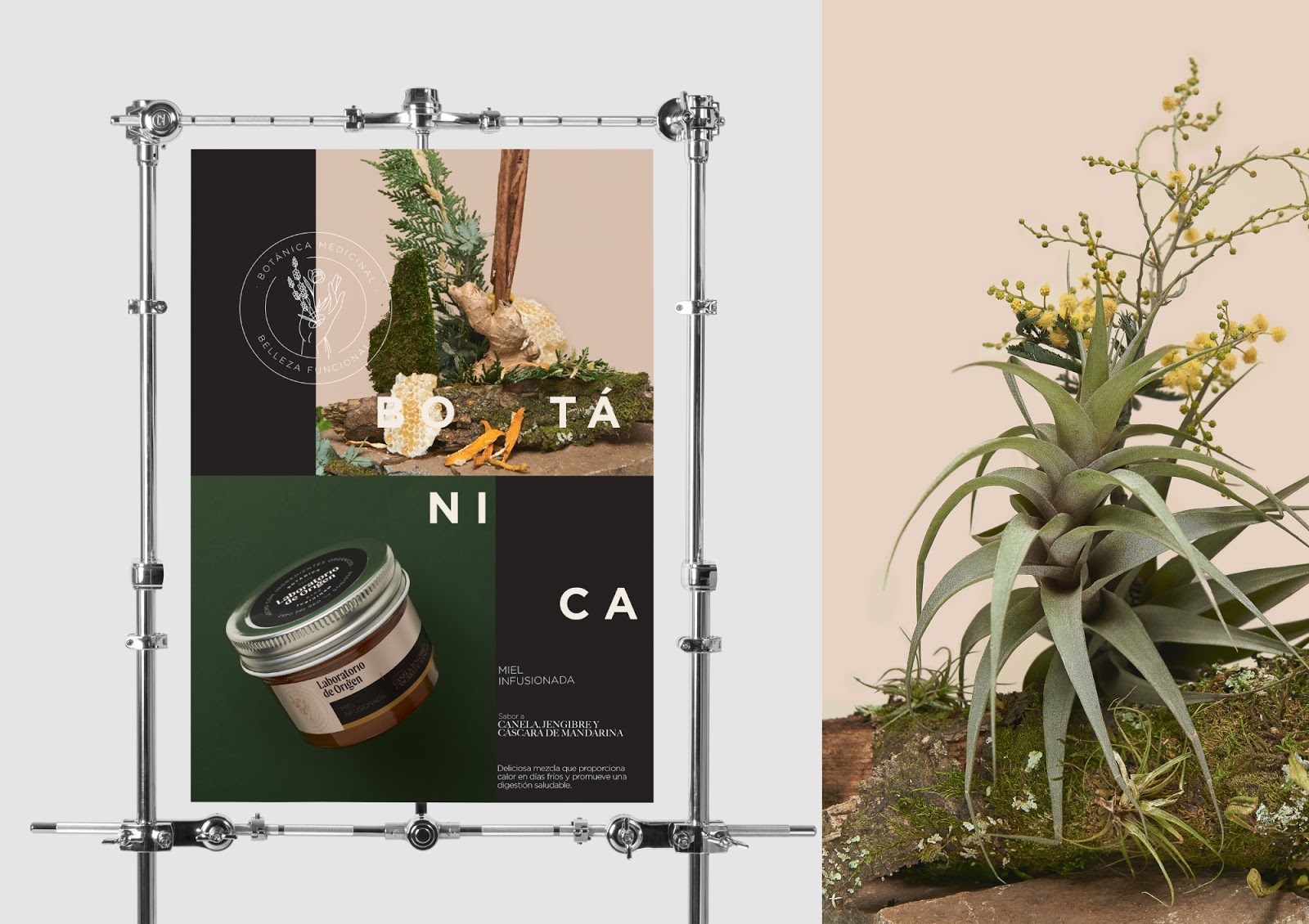 植物化妆品包装设计(图2)