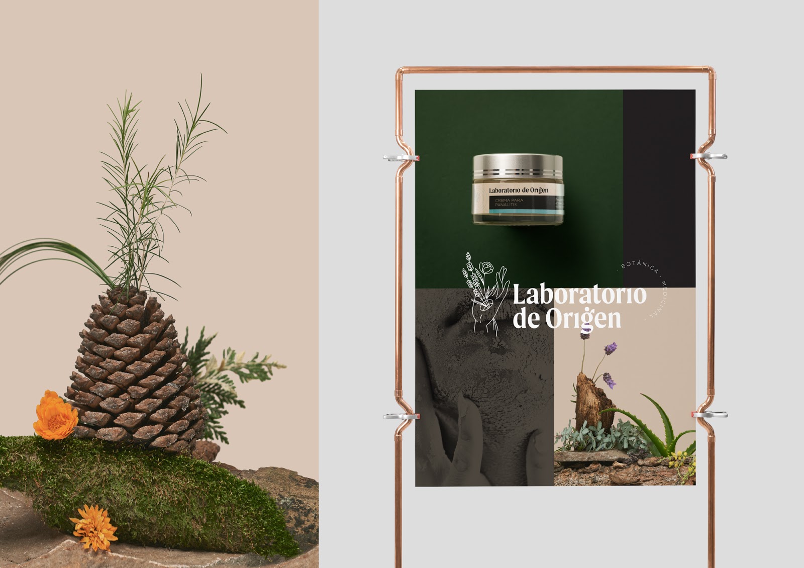 植物化妆品包装设计(图4)