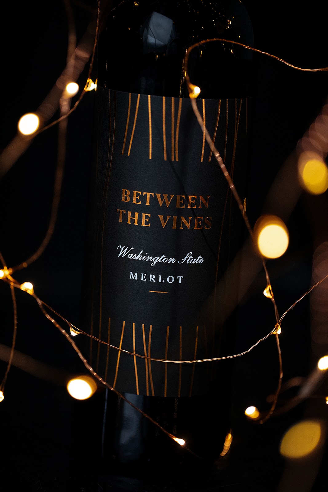 红酒包装设计方案(图1)