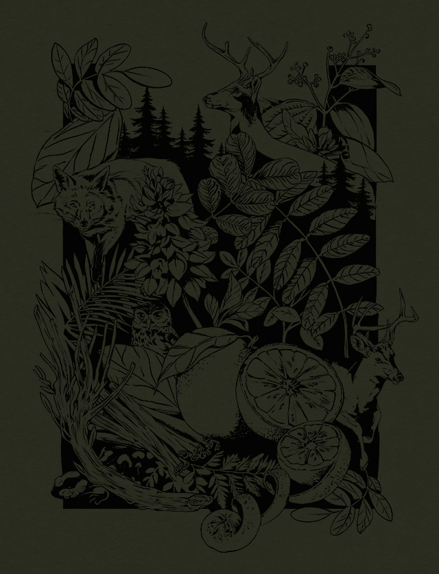 宁波酒包装设计(图4)