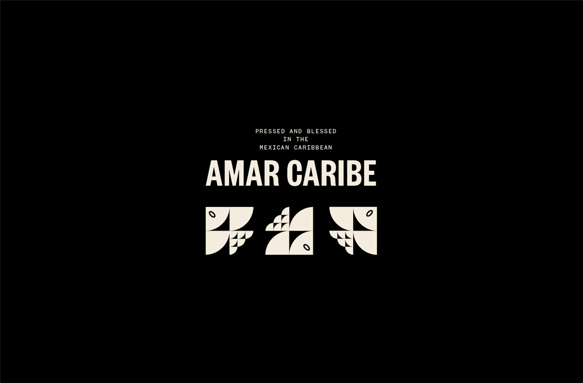 创意水包装设计(图3)