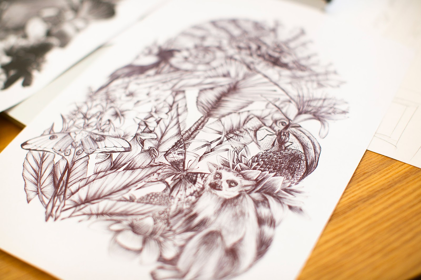 东营酒包装设计这款看着很原始丛林(图7)