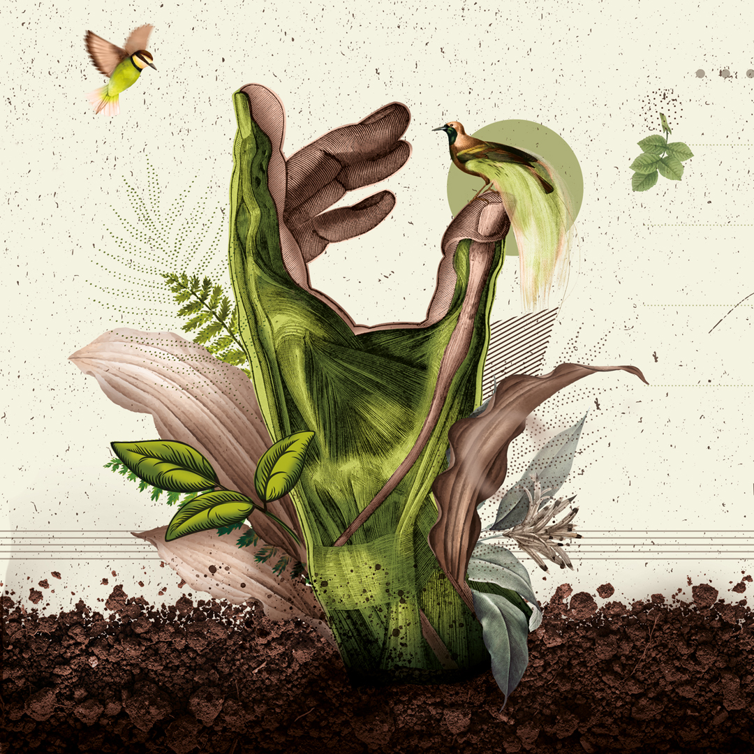 东营产品包装设计有可爱的诗歌和奇妙的插图(图3)