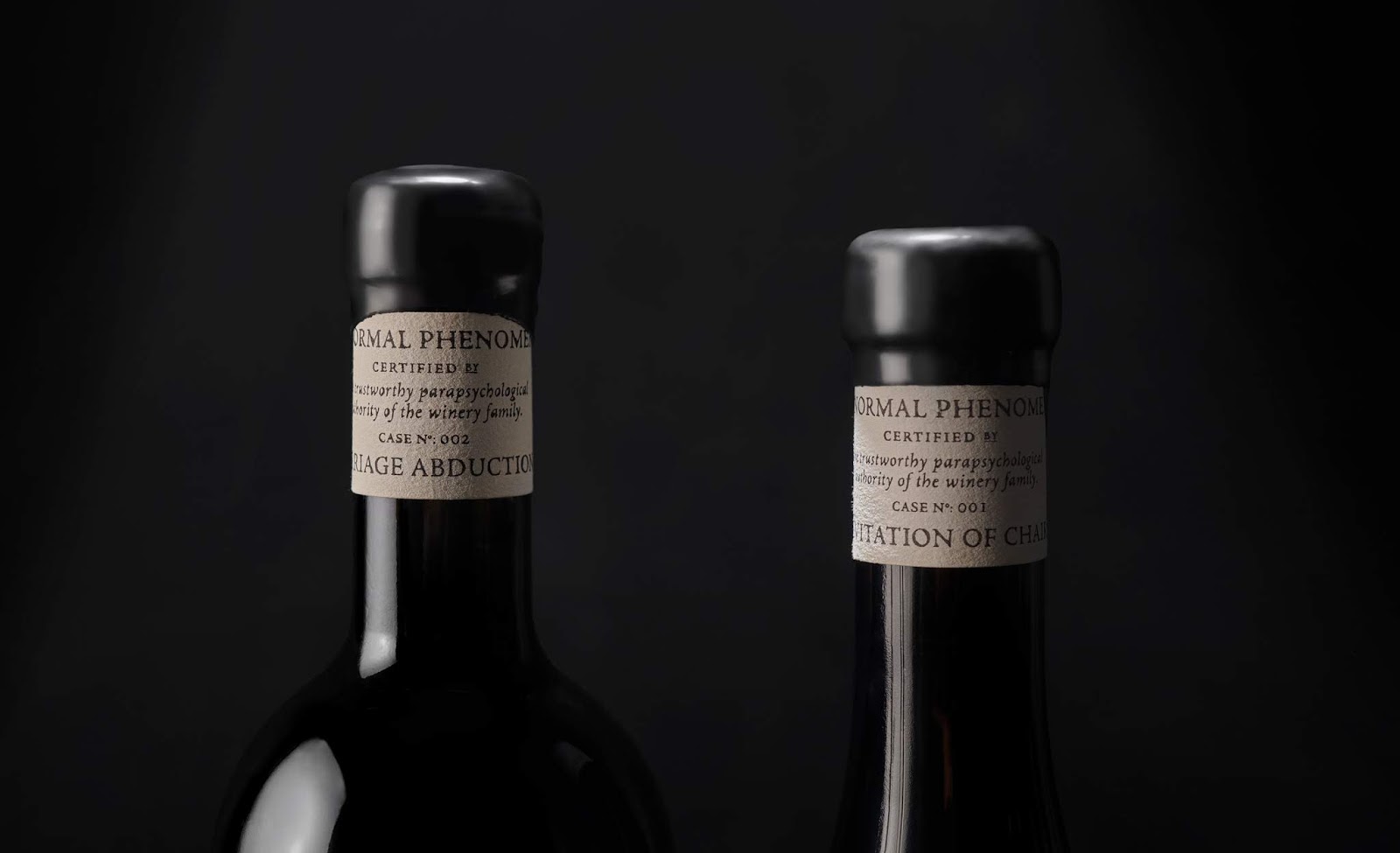 包头外星人都喜欢的红酒包装设计(图5)