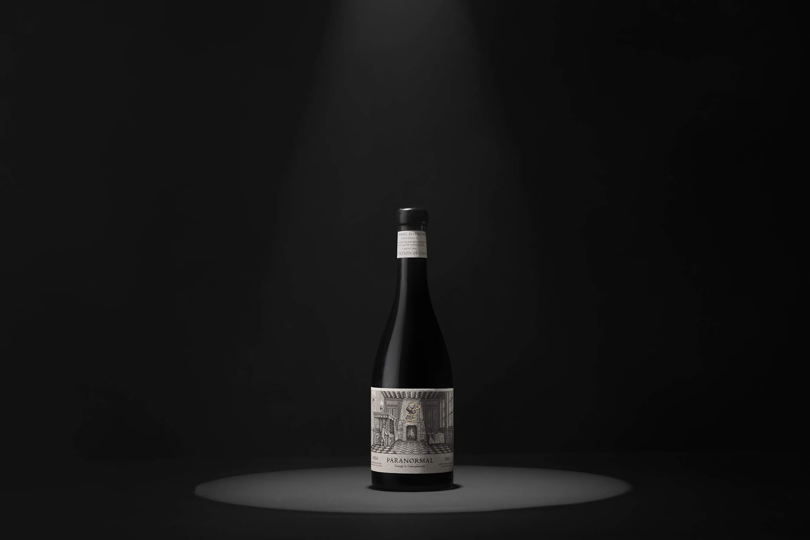 包头外星人都喜欢的红酒包装设计(图6)