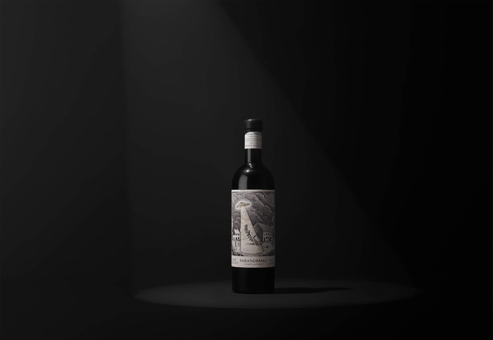 包头外星人都喜欢的红酒包装设计(图7)