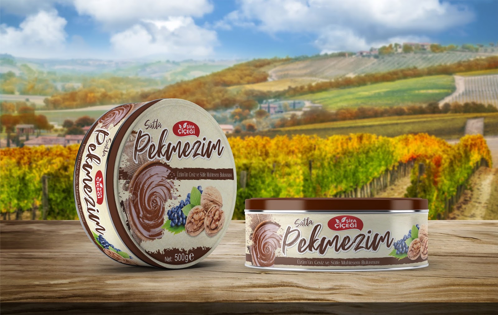 保定地方特产包装设计(图2)