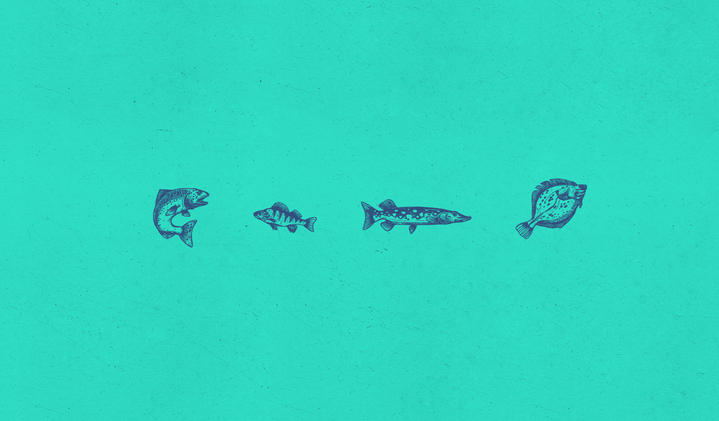 济宁海产品包装设计简约设计(图7)