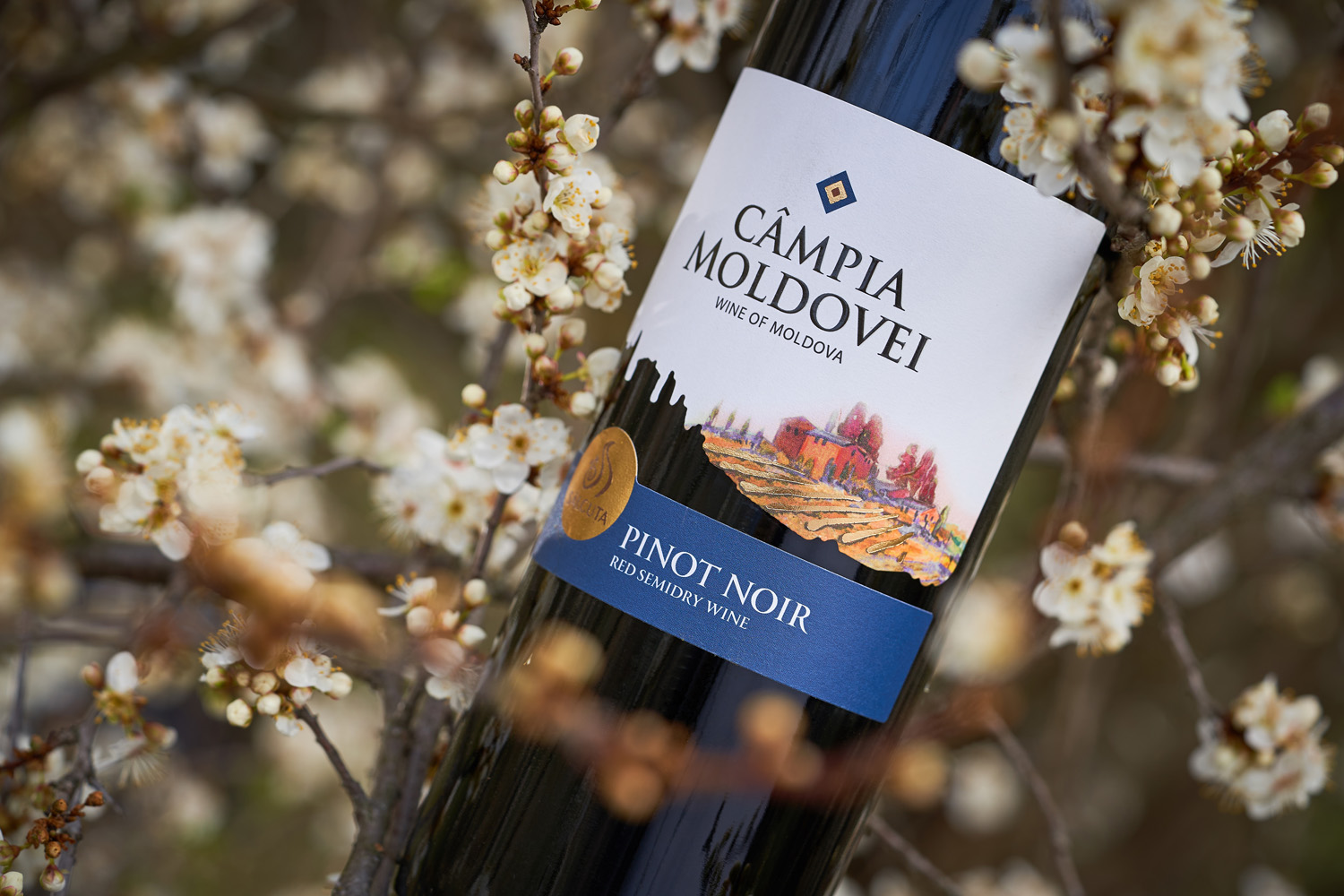 兰州酒包装设计公司(图1)