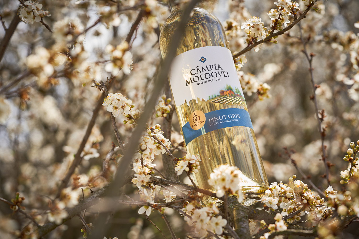 兰州酒包装设计公司(图2)