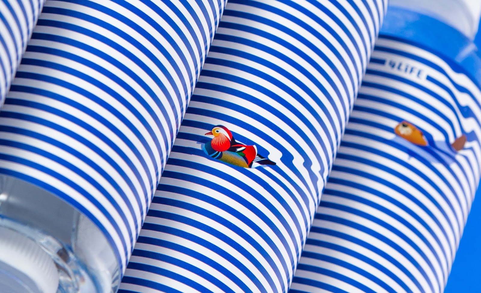 天然泉水包装设计(图5)