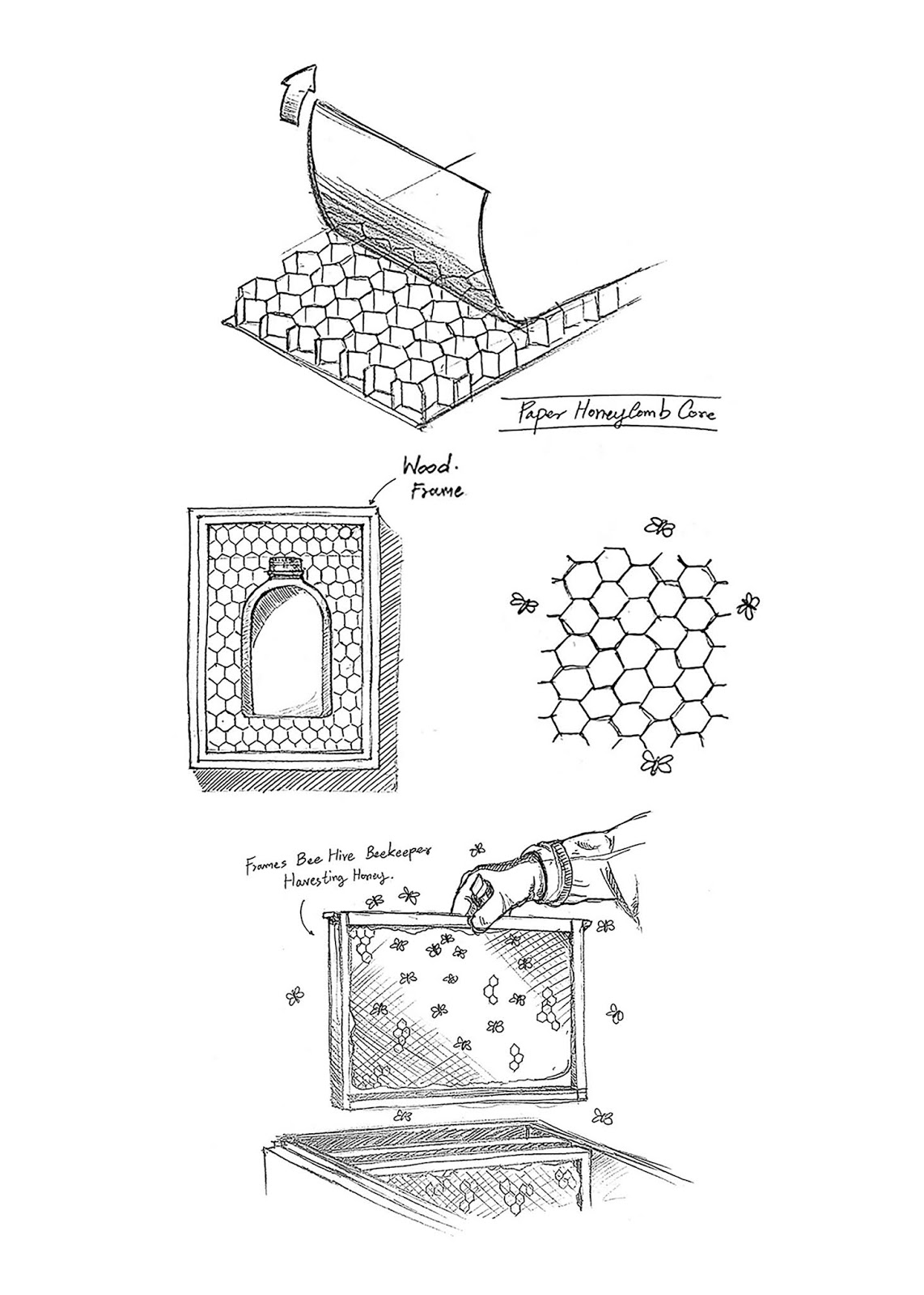 创意蜂蜜包装设计(图3)