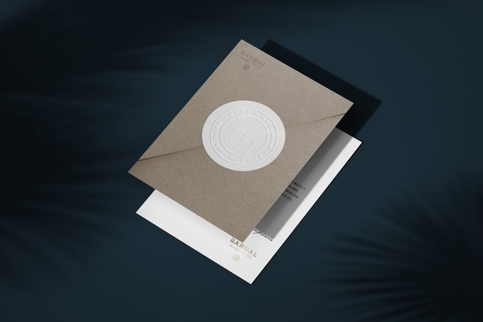 甘蔗酒包装设计简约风格(图12)