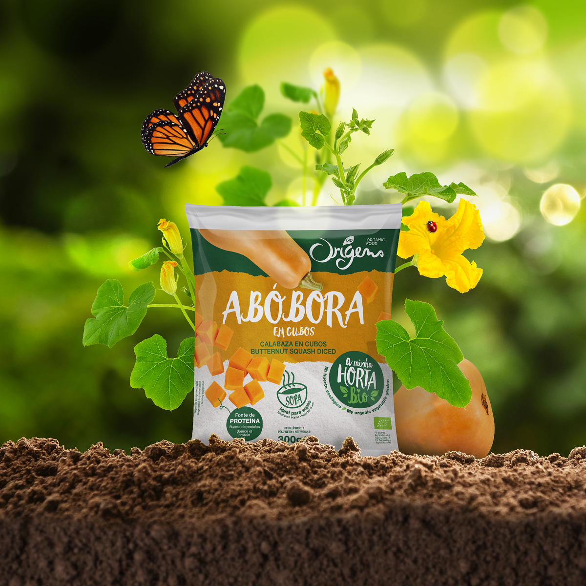 冷冻有机蔬菜包装设计(图1)