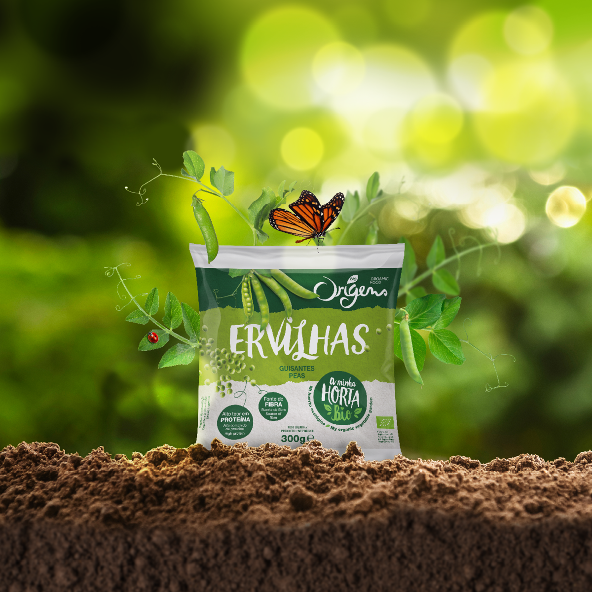 冷冻有机蔬菜包装设计(图2)