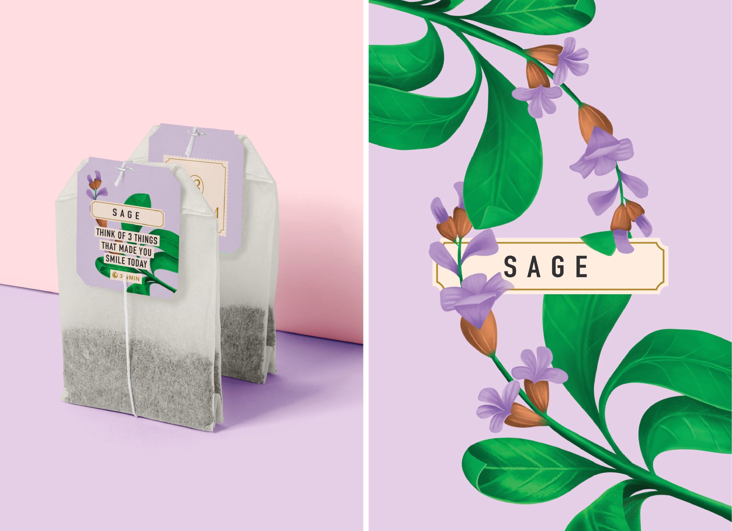 绘画风格的草本茶包装设计这样做(图7)