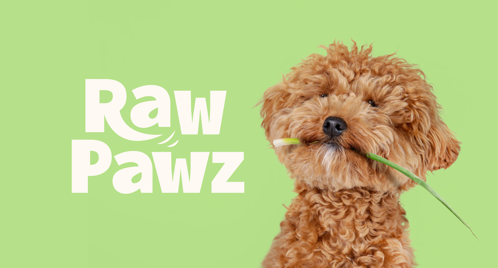 宠物包装设计欣赏用品狗粮包装设计欣赏包装设计(图1)