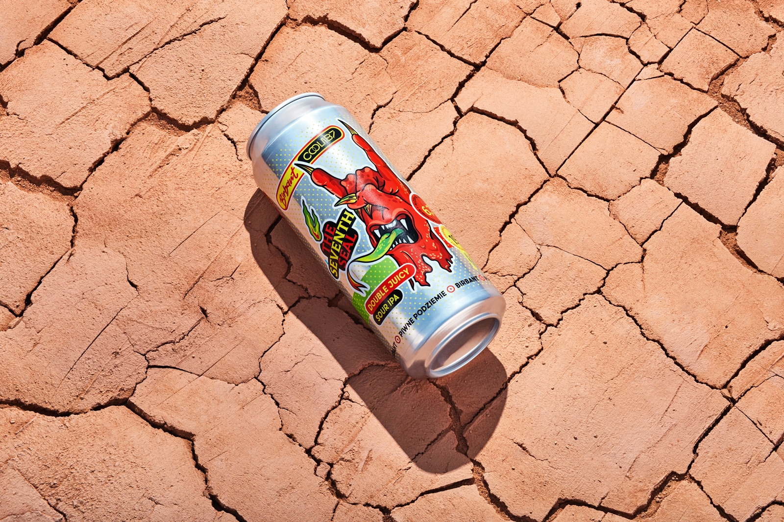 国外啤酒创意包装设计参考(图29)