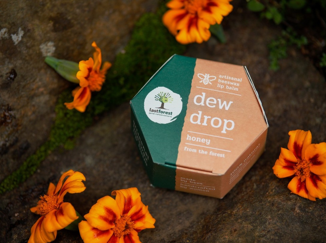 ​Last Forest 手工蜂蜡润唇膏的包装设计(图4)
