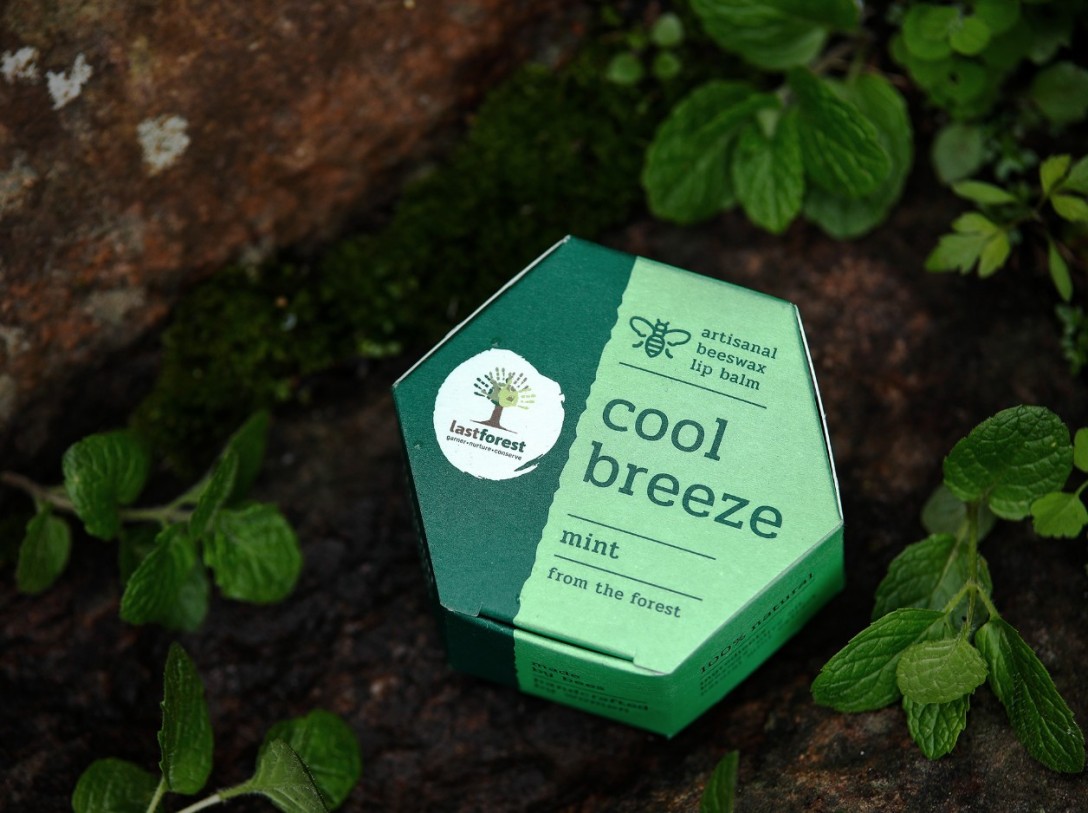 ​Last Forest 手工蜂蜡润唇膏的包装设计(图1)