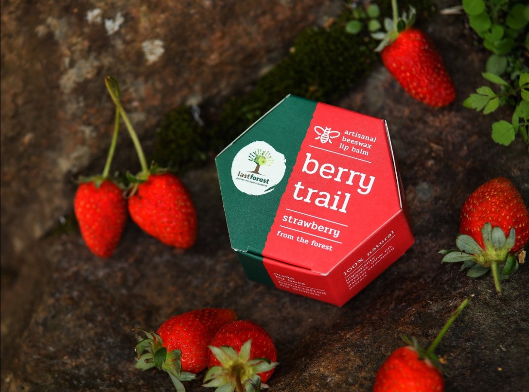 ​Last Forest 手工蜂蜡润唇膏的包装设计(图8)